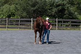 LR-WRF 08022025-Retreat-3054